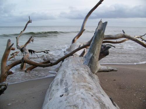 Romantische Strandmomente (100_0861.JPG) wird geladen. Eindrucksvolle Fotos aus Lettland erwarten Sie.